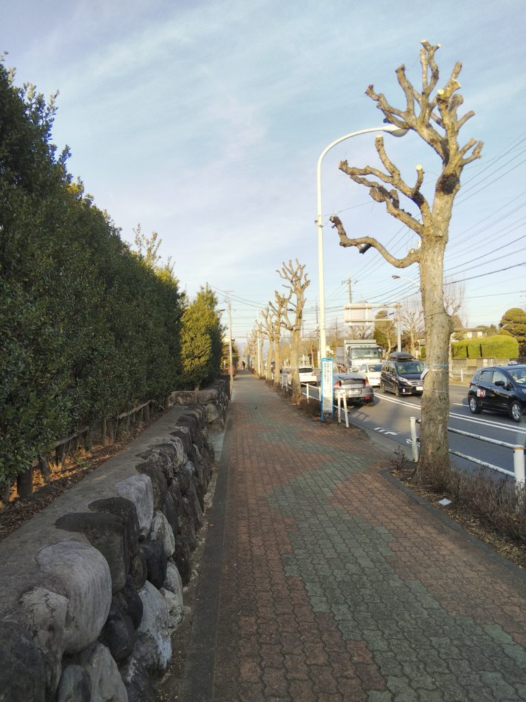 睦橋通りの歩道